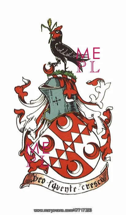  : Bird, Helmet, Shield