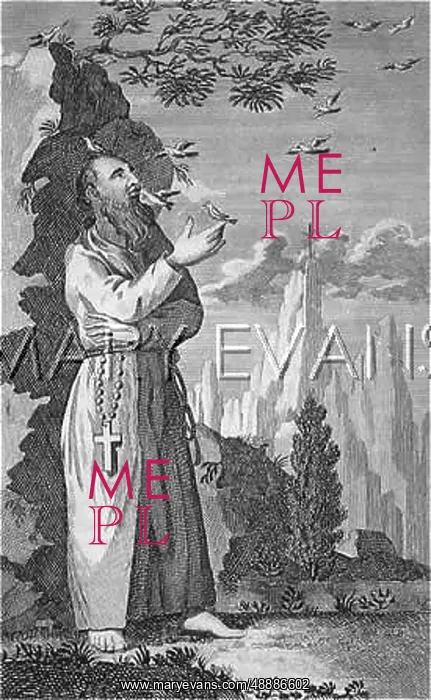 : THE BIRD HERMIT : THE BIRD HERMIT