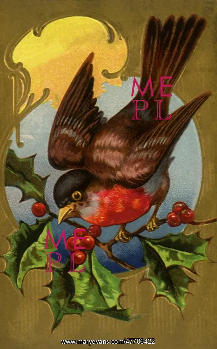  : Bird on Holly