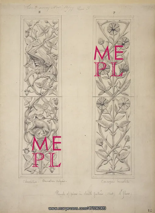 : Bird, leaves and chameleon design : Bird, leaves and chameleon design