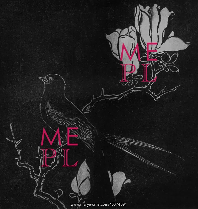  : Bird on Magnolia Branch