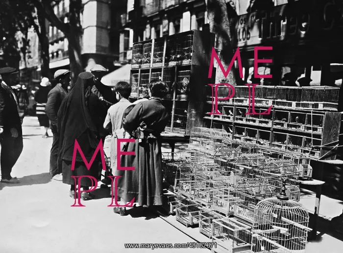 : Bird market in Barcelona, 1932 : Bird market in Barcelona, 1932