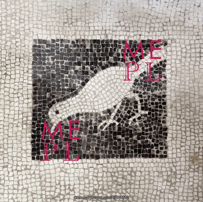 : Bird mosaic, House of Paquius Proculus, Pompeii, Italy : Bird mosaic, House of Paquius Proculus, Pompeii, Italy