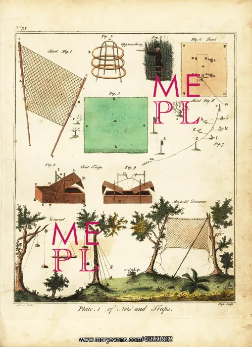 : Bird nets, chest traps, drawnets, 18th century : Bird nets, chest traps, drawnets, 18th century