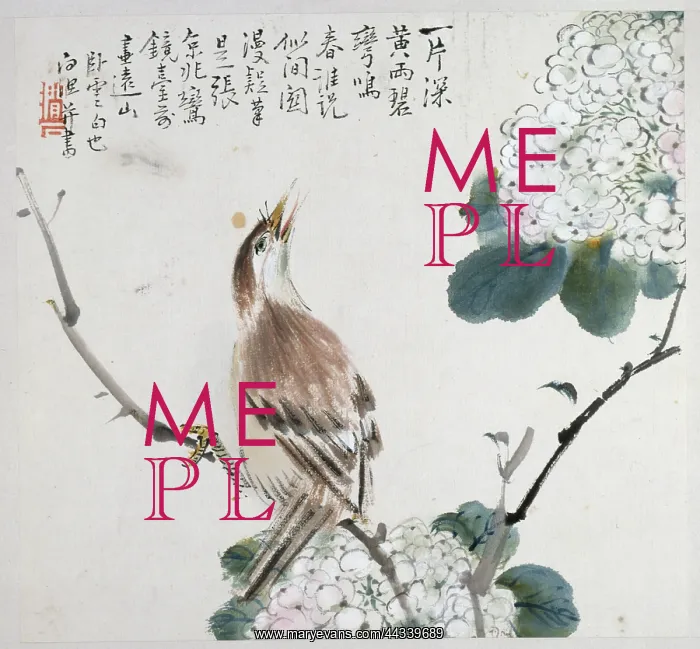 : Bird painting