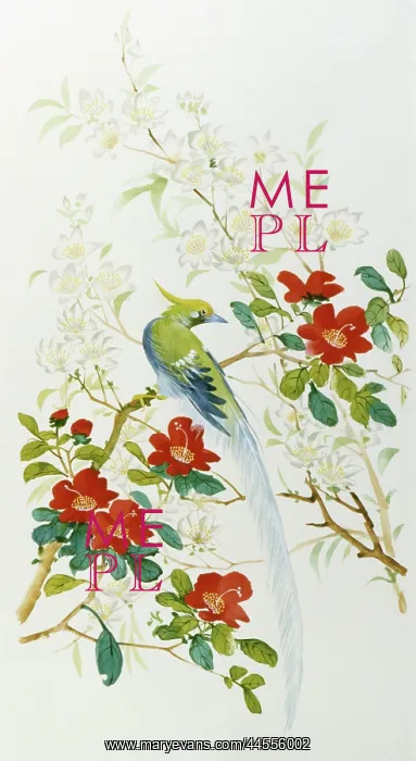 : Bird of Paradise among exotic blooms : Bird of Paradise among exotic blooms