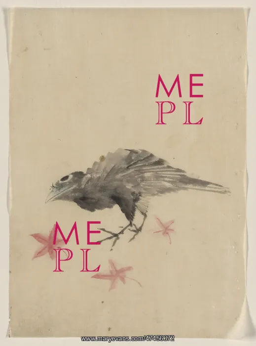 : A bird, possibly crow or raven, facing left, standing among : A bird, possibly crow or raven, facing left, standing among