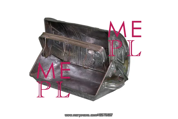 : Bird Roaster : Bird Roaster