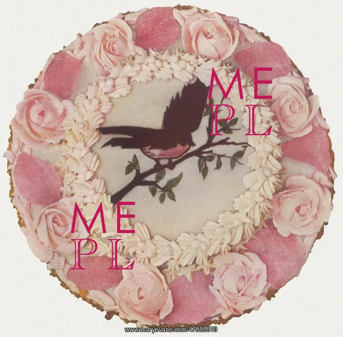 : Bird and Roses Cake : Bird and Roses Cake