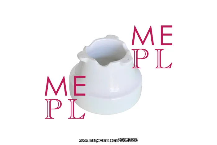 : Bird Seed waterer : Bird Seed waterer