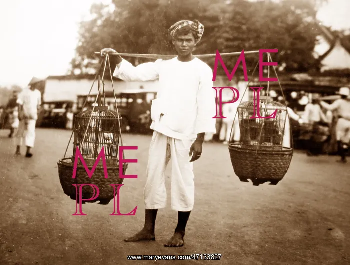  : Bird seller, Java