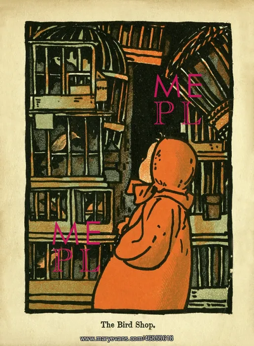 : The Bird Shop : The Bird Shop