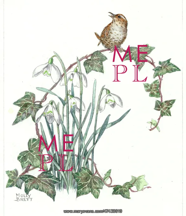 : A bird sitting on some ivy : A bird sitting on some ivy