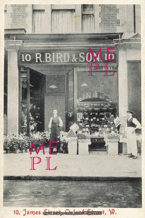  : BIRD & SON SHOP / PHOTO