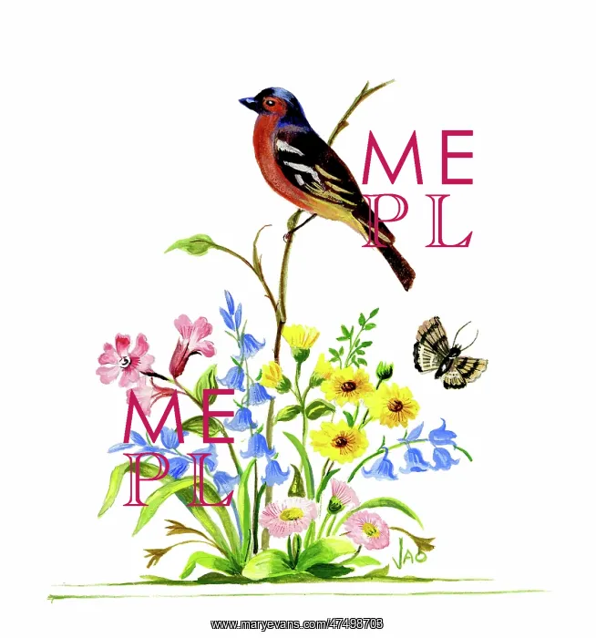  : Bird on a stem among wild flowers