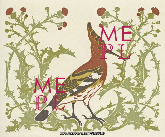  : Bird in thistles