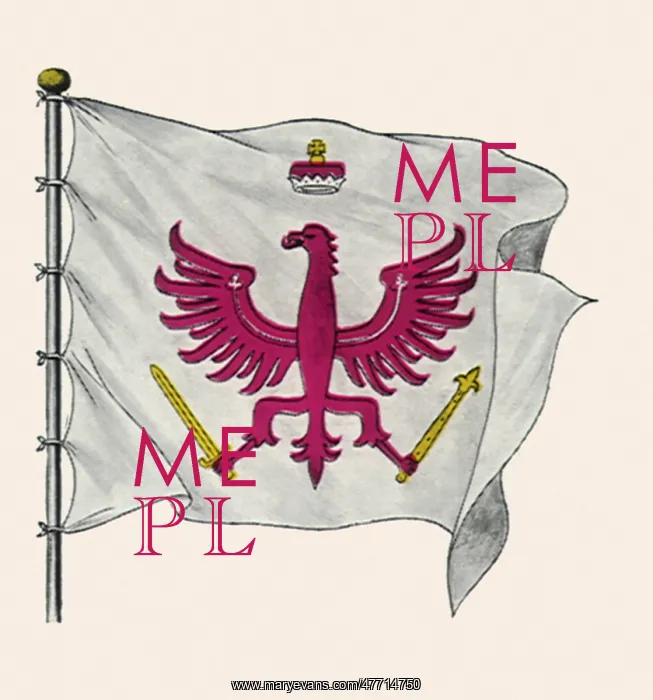  : Bird with Weapons 1701