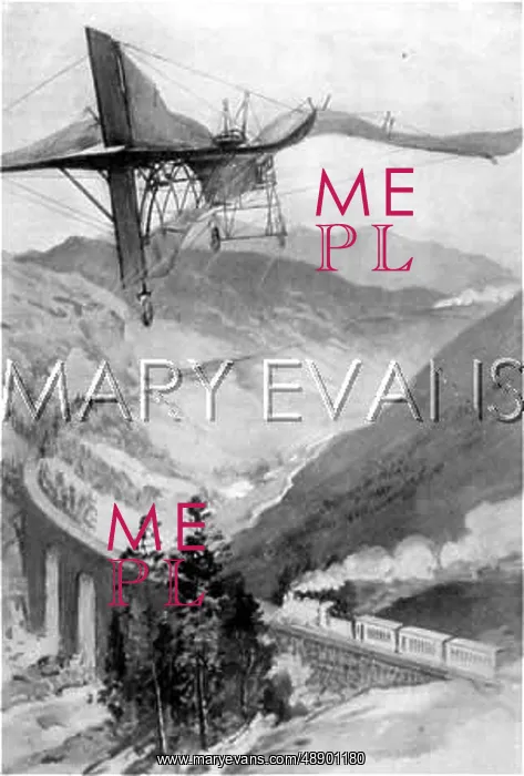 : BIRD-WING MONOPLANE : BIRD-WING MONOPLANE