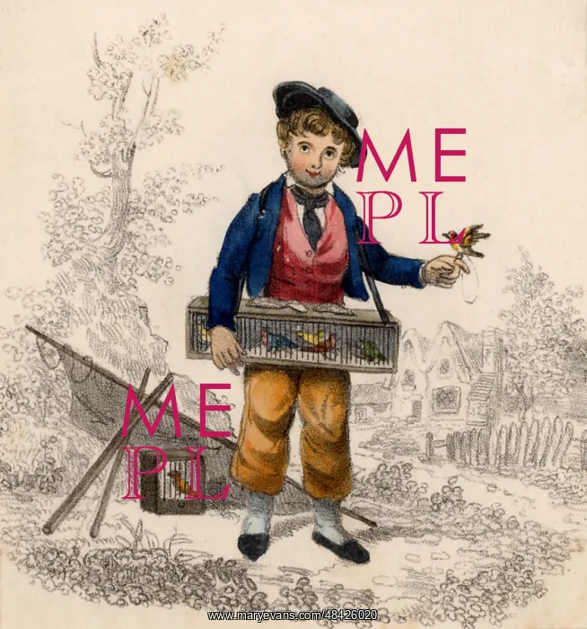 : Birdcatcher with small songbirds : Birdcatcher with small songbirds