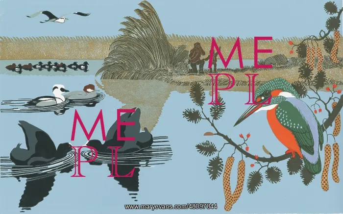 : This Birding Life artwork : This Birding Life artwork