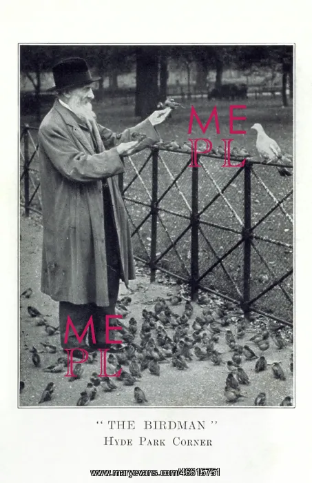  : The Birdman - Hyde Park Corner