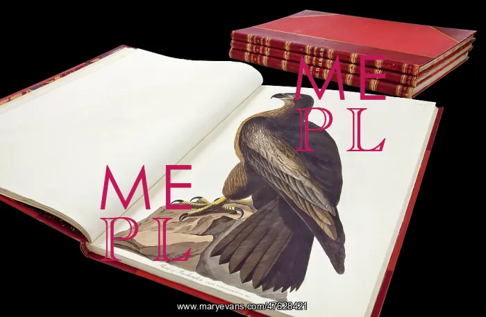 : The Birds of America by John James Audubon : The Birds of America by John James Audubon
