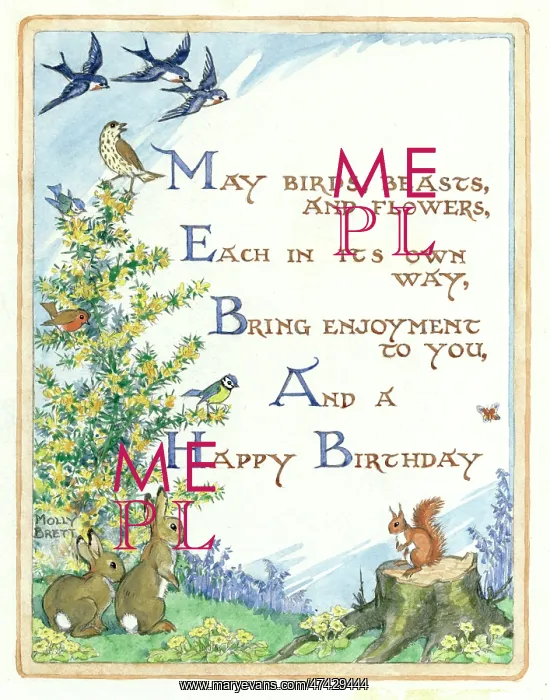 : Birds and animals birthday card : Birds and animals birthday card