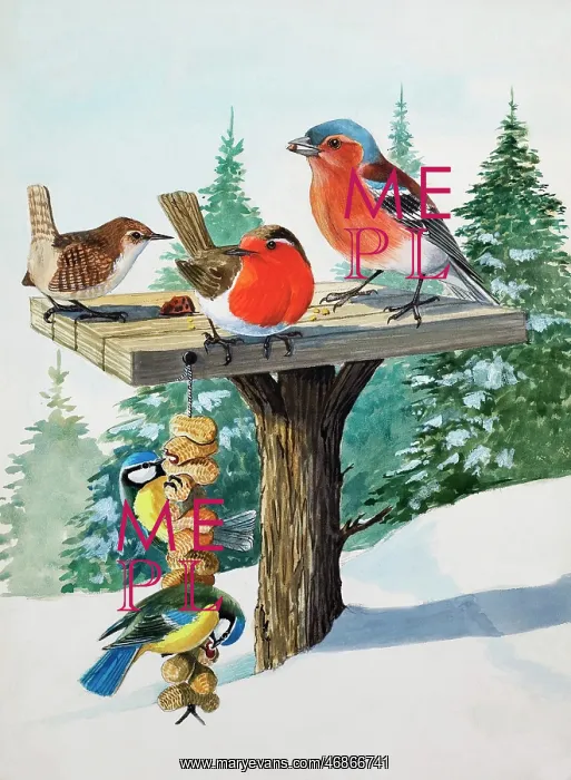  : Birds on a bird table
