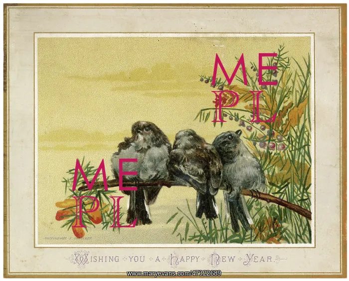  : BIRDS ON A BOUGH