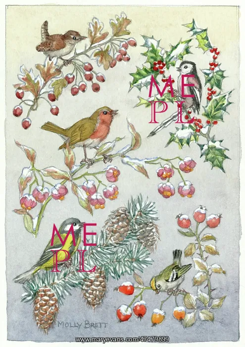 : Five birds, on five branches ' holly, fir etc : Five birds, on five branches ' holly, fir etc