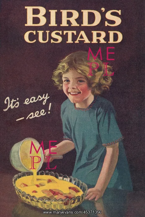 : Bird's Custard : Bird's Custard