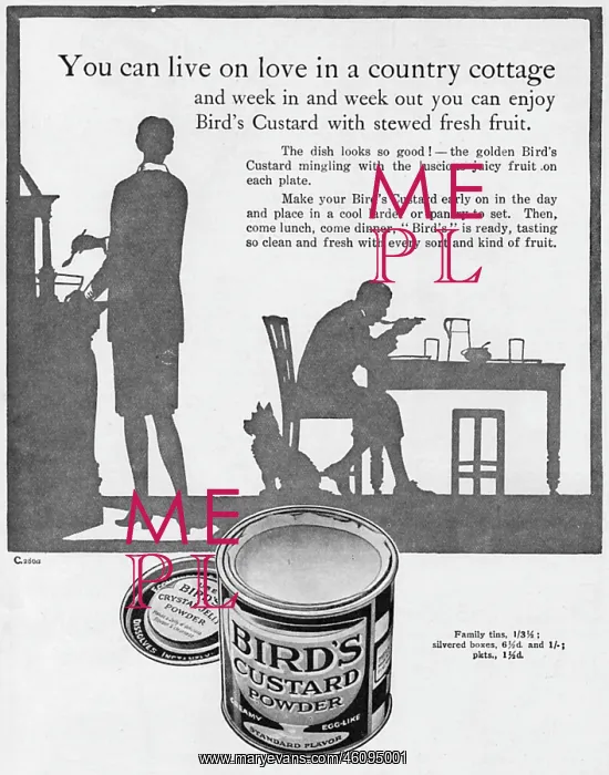 : Bird's Custard advertisement 1927 : Bird's Custard advertisement 1927