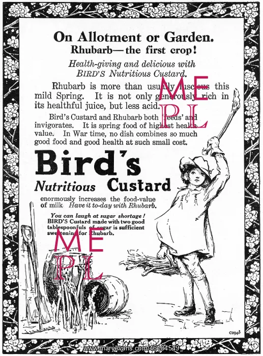 : Bird's Custard advertisement, WW1 : Bird's Custard advertisement, WW1