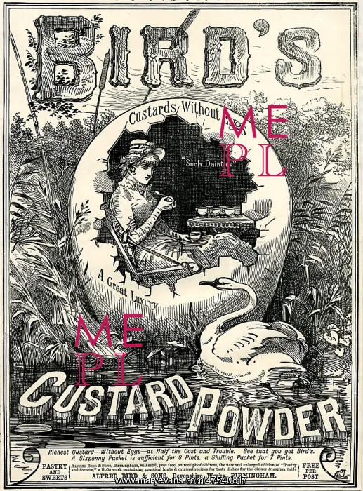  : Bird's Custard Powder advert