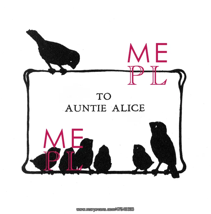  : Birds on dedication page