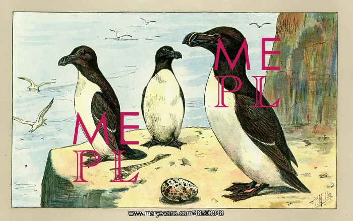  : Three birds with an egg
