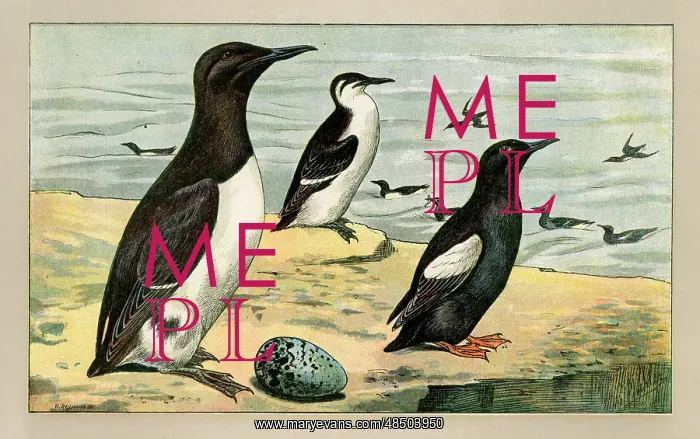  : Three birds with an egg