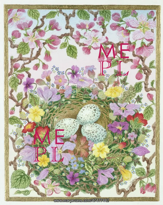 : Birds Eggs with apple blossom, primulas etc : Birds Eggs with apple blossom, primulas etc