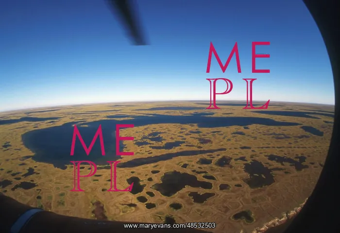 : Bird's eye view of Arctic tundra, 1995 : Bird's eye view of Arctic tundra, 1995