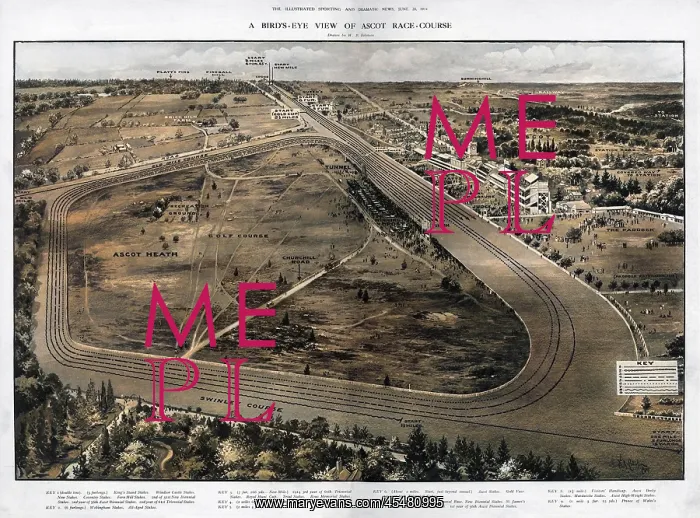 : Birds-Eye View of Ascot Race-Course : Birds-Eye View of Ascot Race-Course