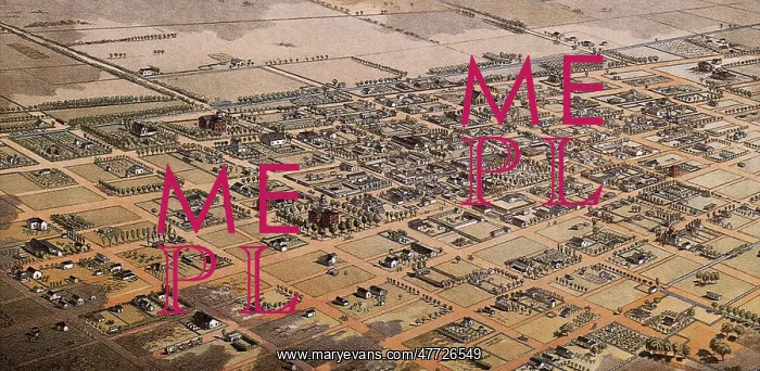 : Bird's Eye View of Phoenix, Maricopa County 1885 : Bird's Eye View of Phoenix, Maricopa County 1885