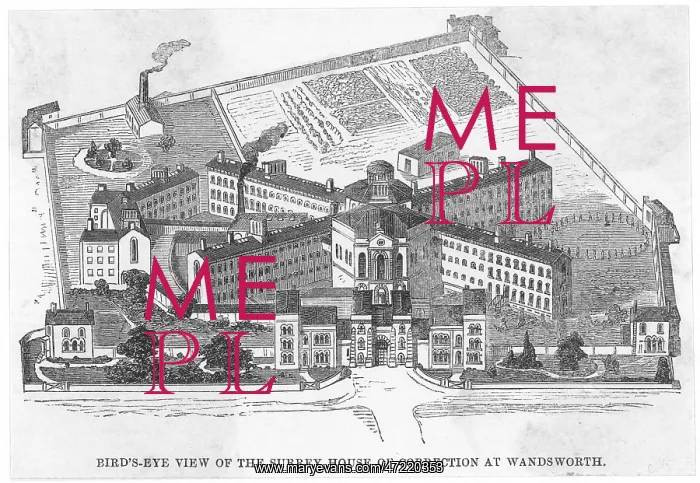 : BIRD'S EYE / WANDSWORTH : BIRD'S EYE / WANDSWORTH