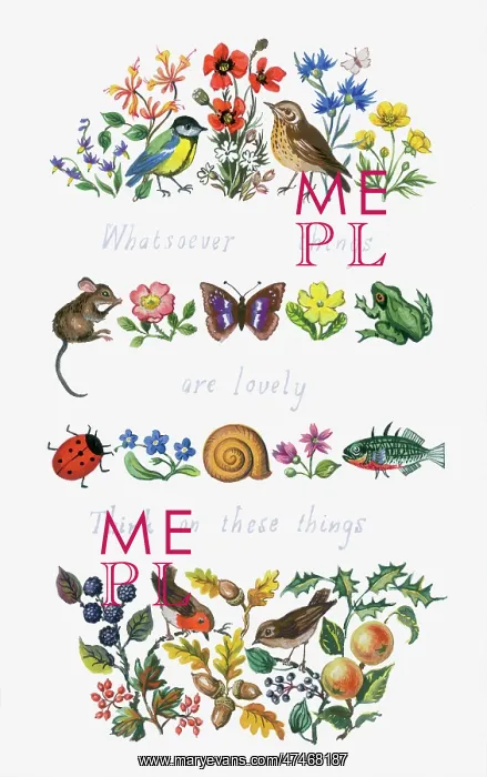 : Birds, flowers, foliage etc : Birds, flowers, foliage etc