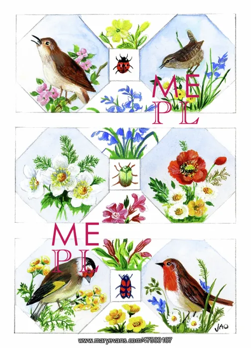  : Birds, Flowers and Insects