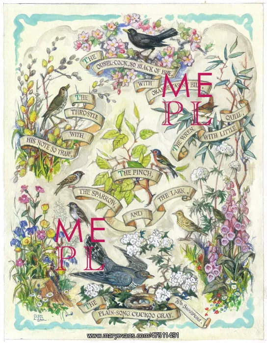 : Birds and flowers with words from Shakespeare : Birds and flowers with words from Shakespeare