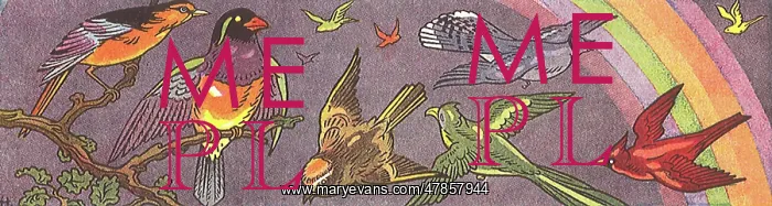  : Birds Fly Under Rainbow