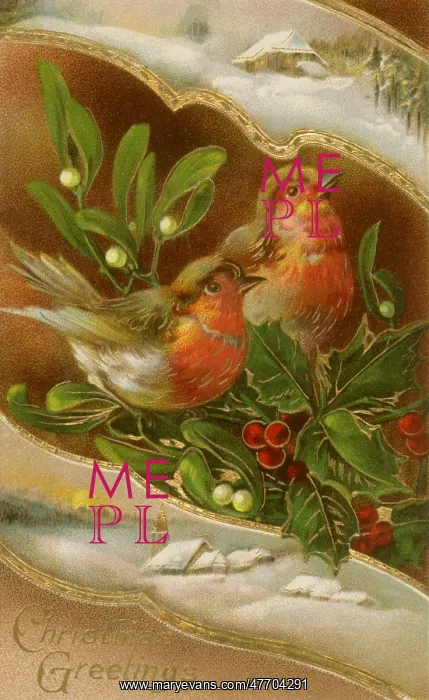  : Two Birds, Holly
