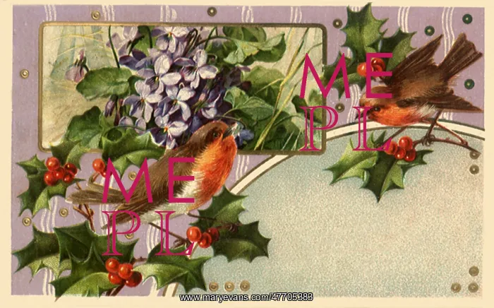 : Birds and Holly : Birds and Holly