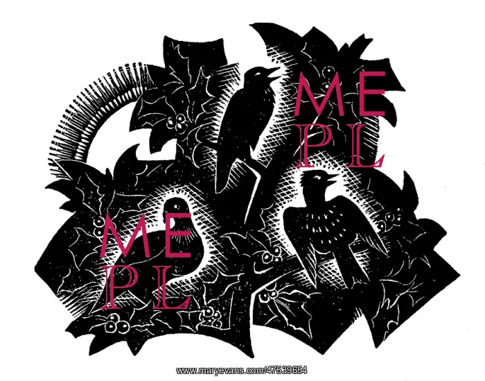 : Three birds on holly tree : Three birds on holly tree