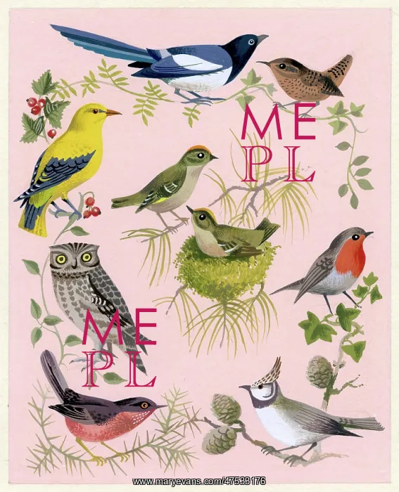 : Nine birds including goldcrests in the centre : Nine birds including goldcrests in the centre